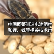 中国调整制造电池组件和锂、镓等相关技术出口限制