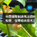 中国调整制造电池组件和锂、镓等相关技术出口限制（图4）