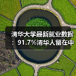 清华大学最新就业数据：91.7%清华人留在中国，破除人才外流误传（图3）