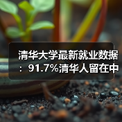 清华大学最新就业数据：91.7%清华人留在中国，破除人才外流误传（图4）