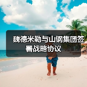 魏德米勒与山钢集团签署战略协议（图3）