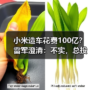 小米造车花费100亿？雷军澄清：不实，总投资已近300亿（图3）