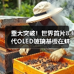 重大突破！世界首片8.6代OLED玻璃基板在蚌埠成功下线