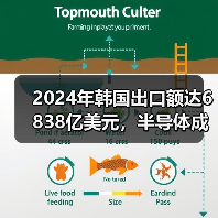 2024年韩国出口额达6838亿美元，半导体成增长主力