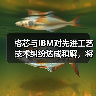 格芯与IBM对先进工艺技术纠纷达成和解，将进一步合作（图4）