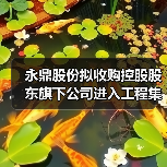 永鼎股份拟收购控股股东旗下公司进入工程集成施工领域