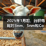 2025年1月起，台积电将对3nm、5nm和CoWoS工艺涨价（图2）