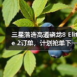 三星落选高通骁龙8 Elite 2订单，计划抢单下一代2nm工艺（图3）