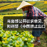 商务部公开征求意见，拟调整《中国禁止出口限制出口技术目录》（图2）