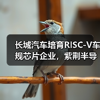 长城汽车培育RISC-V车规芯片企业，紫荆半导体落户南京江北（图2）