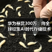 华为悬赏300万：向全球征集AI时代存储技术难题解答（图3）