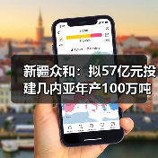 新疆众和：拟57亿元投建几内亚年产100万吨氧化铝项目（图4）