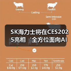 SK海力士将在CES2025亮相‘全方位面向AI的存储器供应商’的新蓝图（图4）